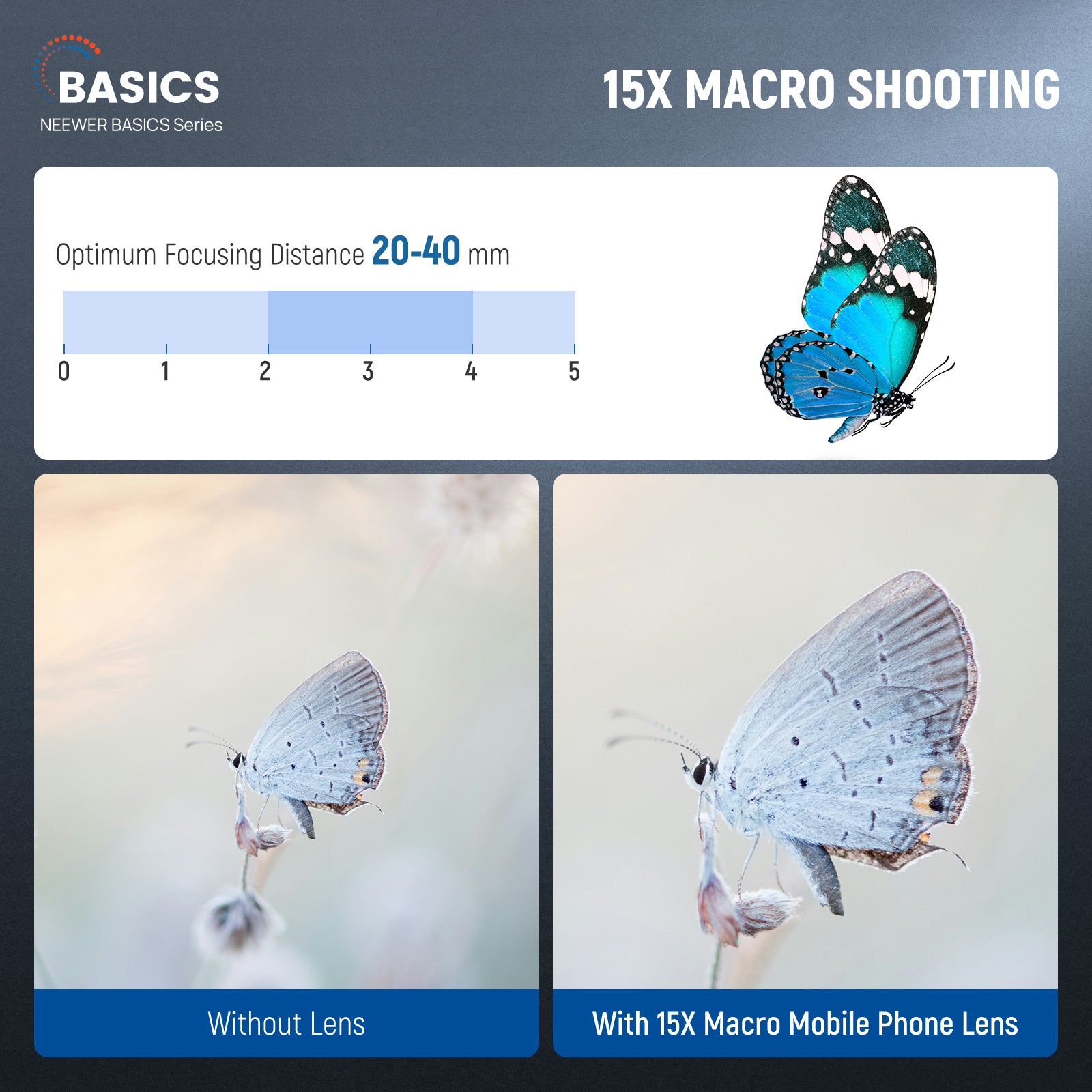 Comparison of a butterfly at different focusing distances with and without a 15x macro lens.